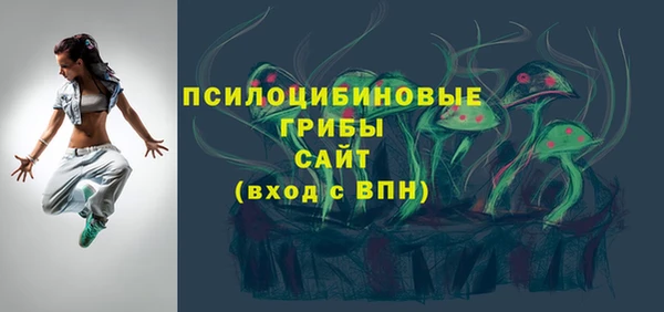 ALPHA-PVP Няндома