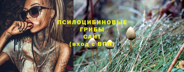 герыч Нягань
