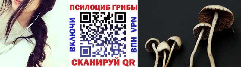 гидра маркетплейс  наркота  Грязи  Галлюциногенные грибы ЛСД 