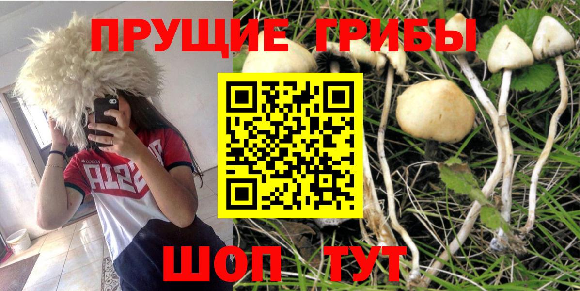Галлюциногенные грибы мицелий  где купить наркоту  Грязи  Галлюциногенные грибы Magic Shrooms 