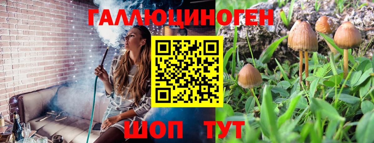 Галлюциногенные грибы Psilocybine cubensis Грязи