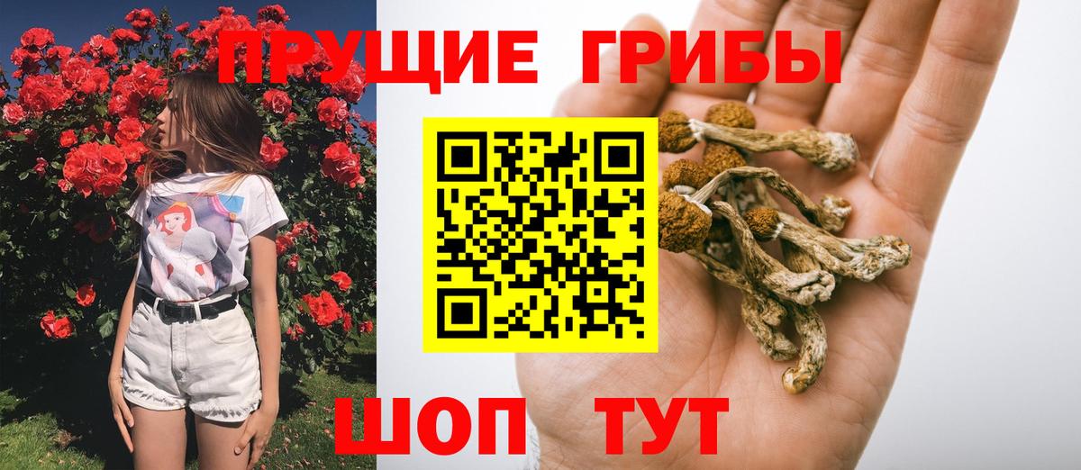Галлюциногенные грибы Magic Shrooms  Галлюциногенные грибы MAGIC MUSHROOMS  Вход с VPN  купить наркотик  Грязи 